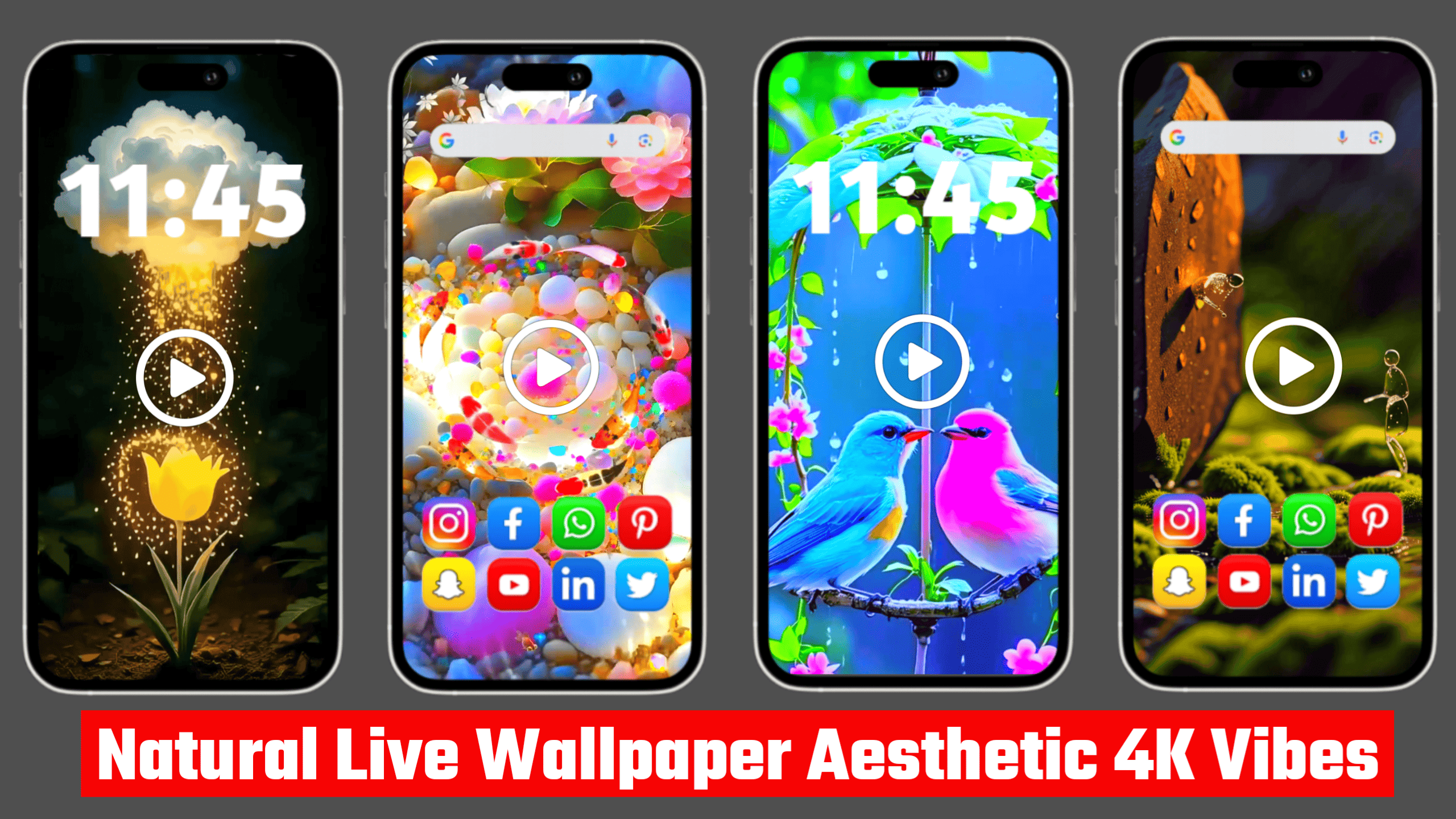 Premium Natural Live Wallpapers Aesthetic 4K Vibes